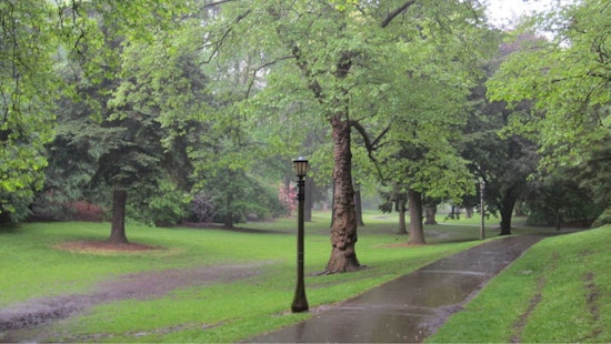 Seattle Braces for Continued Showers with Hopes for Snow Dwindling, Warm Week Ahead