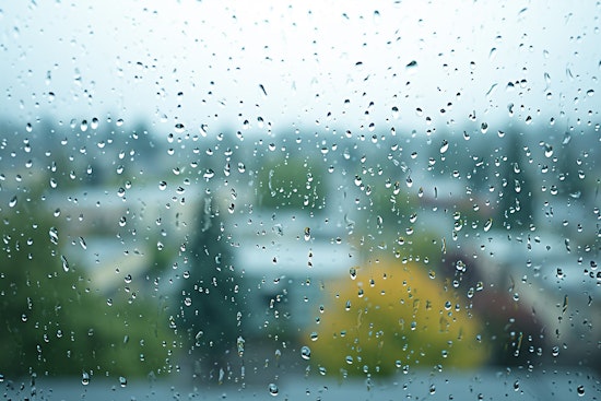 Seattle Braces for Persistent Rainfall: NWS Predicts Week of Overcast Skies and Steady Showers