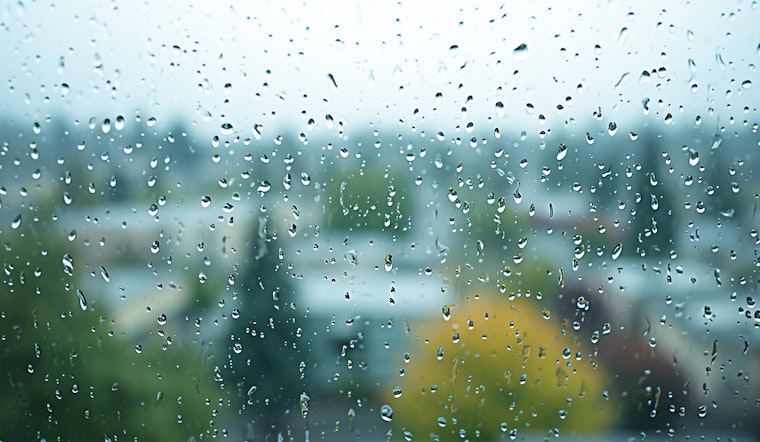 Seattle Braces for Persistent Rainfall: NWS Predicts Week of Overcast Skies and Steady Showers