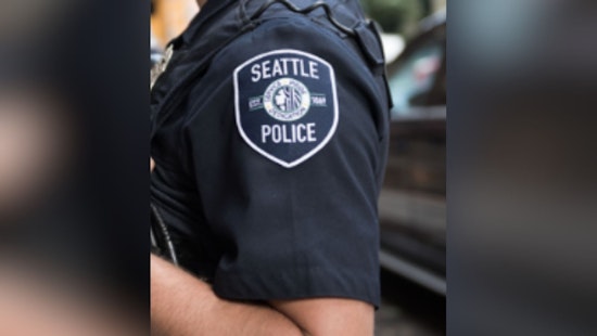 Seattle Officer Faces Discipline for Insensitive Remarks About Woman's Fatal Collision
