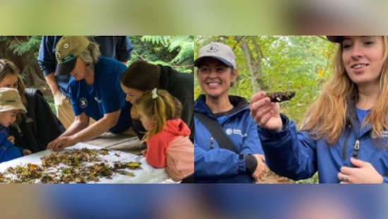 Seattle Parks and Recreation Seeks Volunteer Urban Nature Guides for Educational Outreach