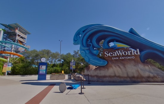 SeaWorld Offers Free Unlimited Admission for Preschoolers and Teachers - Register by March 31