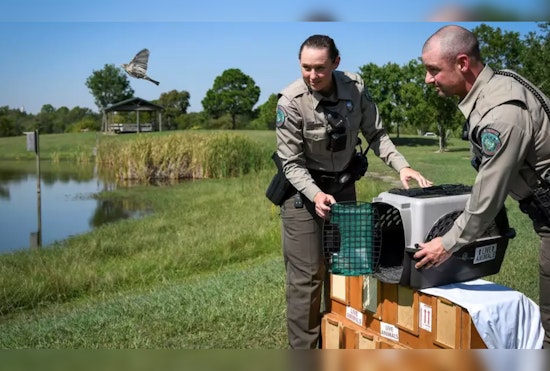 Six Charged in Illegal Songbird Smuggling in Houston, Facing Five Years and $250K in Fines