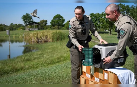 Six Charged in Illegal Songbird Smuggling in Houston, Facing Five Years and $250K in Fines
