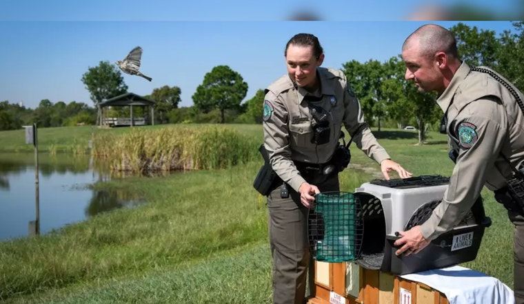 Six Charged in Illegal Songbird Smuggling in Houston, Facing Five Years and $250K in Fines