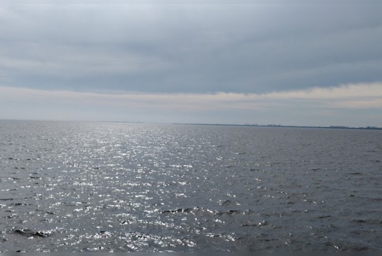 South Tampa Residents Rally Funds to Unlock Mystery Behind Nocturnal Bass Sounds in Bay Area
