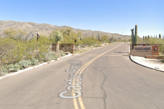 Southern Arizona Woman Survives Bobcat Attack Near Saguaro National Park, Officials Issue Rabies Warning