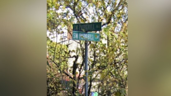 Southwest Portland Neighborhood Confronts Outages, Debris in Wake of Severe Weather