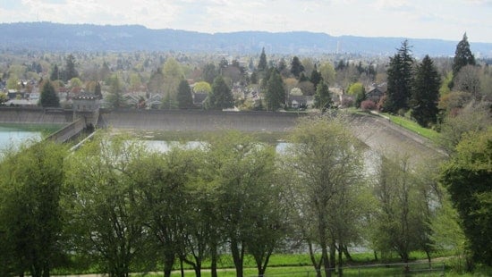 Storm Batters Portland's Mt. Tabor Park: 30 Trees Down, Historic Picnic Shelter Destroyed