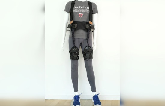 Stride of Hope, Harvard and Boston Univ's Robotic 'Exosuit' Thaws Parkinson's Freezing Gait