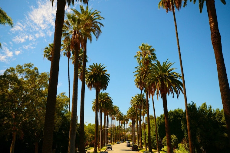 Sunshine and Mild Winter Days Ahead for Los Angeles, with a Chance of Midweek Showers