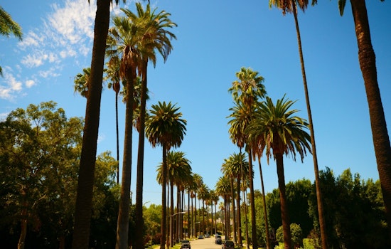 Sunshine and Mild Winter Days Ahead for Los Angeles, with a Chance of Midweek Showers