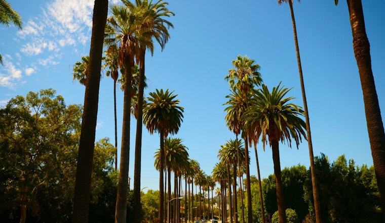 Sunshine and Mild Winter Days Ahead for Los Angeles, with a Chance of Midweek Showers