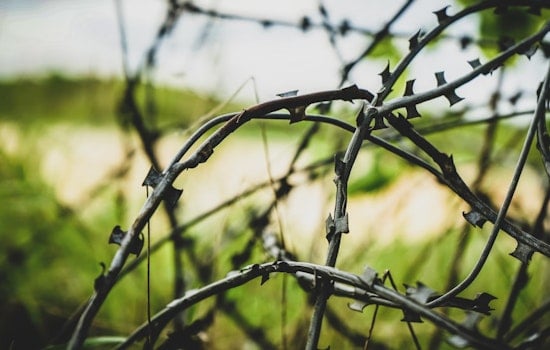 Supreme Court Sides with Biden Administration, Rejects Texas' Border Razor Wire Efforts