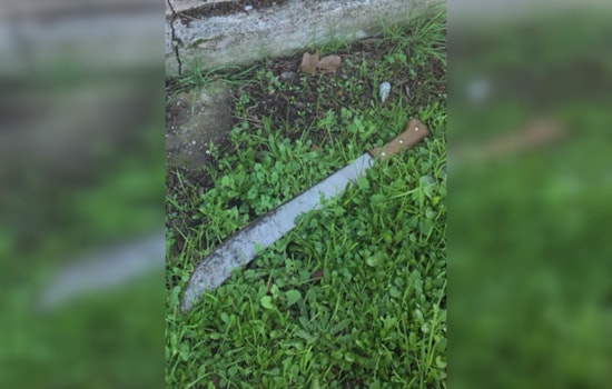 Suspect Apprehended After Man Stabbed With Machete in Santa Rosa