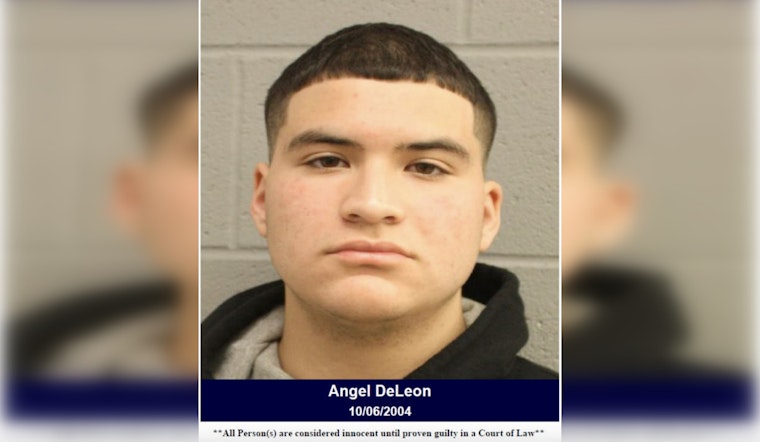 Suspected Drunk Driver Arrested After Failing Sobriety Test in Harris County Wreck