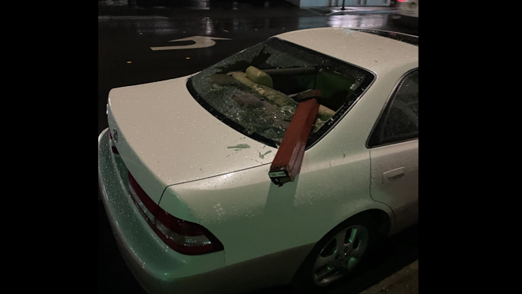 Suspected Recidivist Vandal Arrested After Spree in Downtown Petaluma, Police Investigate Further