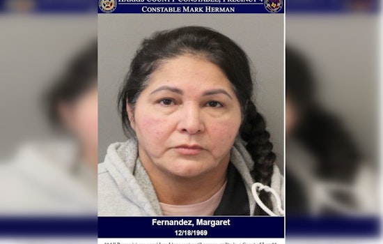 Suspected Shoplifter Apprehended at Walmart, Charged with Theft in Harris County