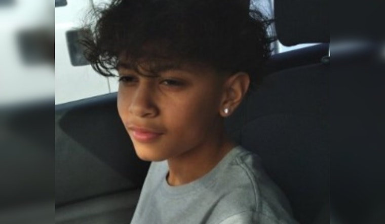 Taylor Police Intensify Search for Missing 14-Year-Old Aleksis Damen Laurel, Seek Community Aid