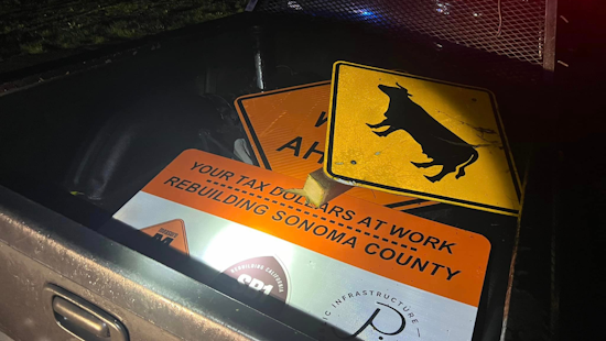 Teen Driver Jailed for Felony Vandalism After Sawing Down Street Signs in Santa Rosa