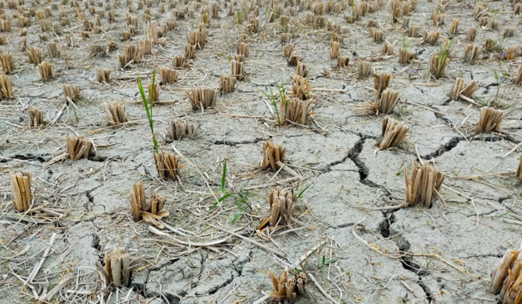 Texas Farmers Reinvent Practices Amid Climate Challenges
