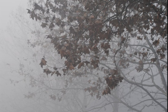 Texas Grid Operator ERCOT Readies for Arctic Blast, Ensures Preparedness Amid Rising Concerns