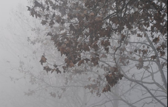 Texas Grid Operator ERCOT Readies for Arctic Blast, Ensures Preparedness Amid Rising Concerns