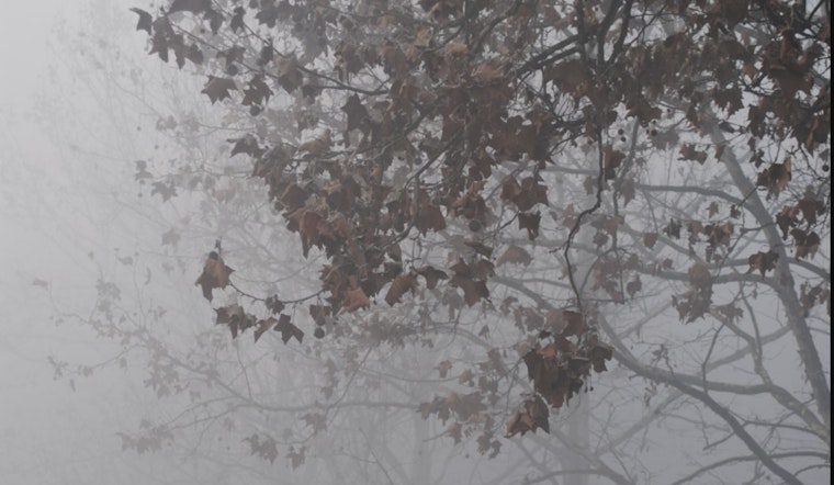 Texas Grid Operator ERCOT Readies for Arctic Blast, Ensures Preparedness Amid Rising Concerns