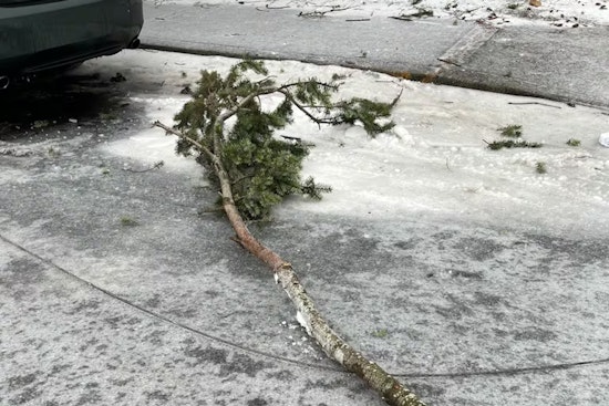 Three Family Members Fatally Electrocuted by Fallen Power Line in Portland Storm; Toddler Survives