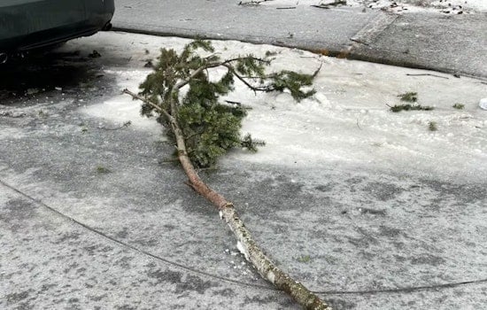Three Family Members Fatally Electrocuted by Fallen Power Line in Portland Storm; Toddler Survives