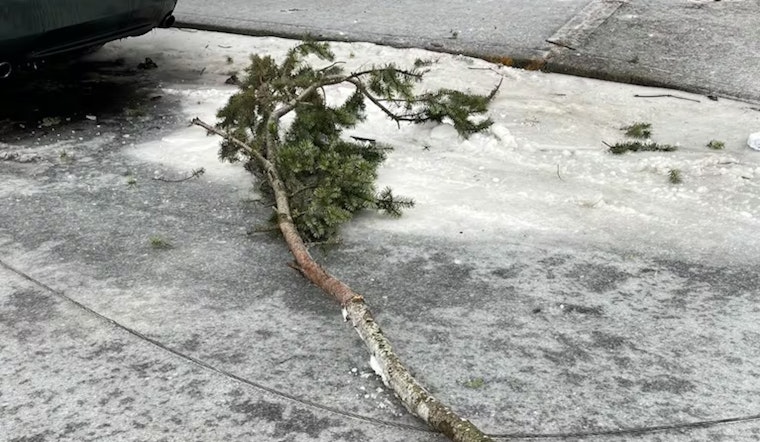 Three Family Members Fatally Electrocuted by Fallen Power Line in Portland Storm; Toddler Survives