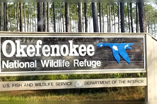 Twin Pines Minerals Settles with Georgia Over Alleged Environmental Missteps Near Okefenokee Swamp