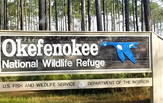 Twin Pines Minerals Settles with Georgia Over Alleged Environmental Missteps Near Okefenokee Swamp