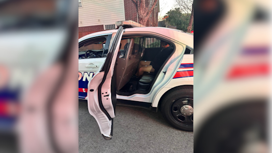Two Men Arrested in Separate Suspicious Activity Incidents in Glade River Area, Constable Herman's Office Reports