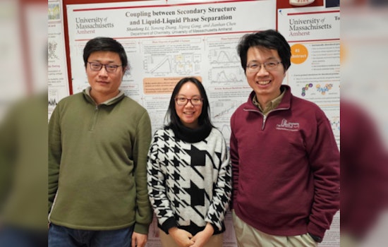 UMass Amherst Team Unveils Advanced Simulation for Elusive Proteins, Paving Way for Disease Therapy Breakthroughs