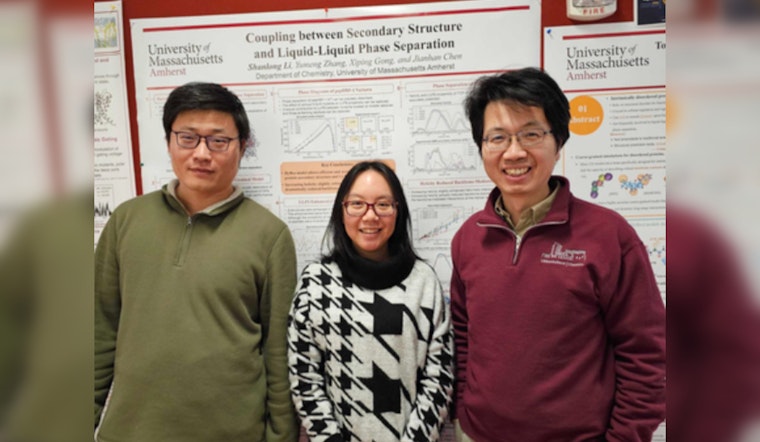 UMass Amherst Team Unveils Advanced Simulation for Elusive Proteins, Paving Way for Disease Therapy Breakthroughs