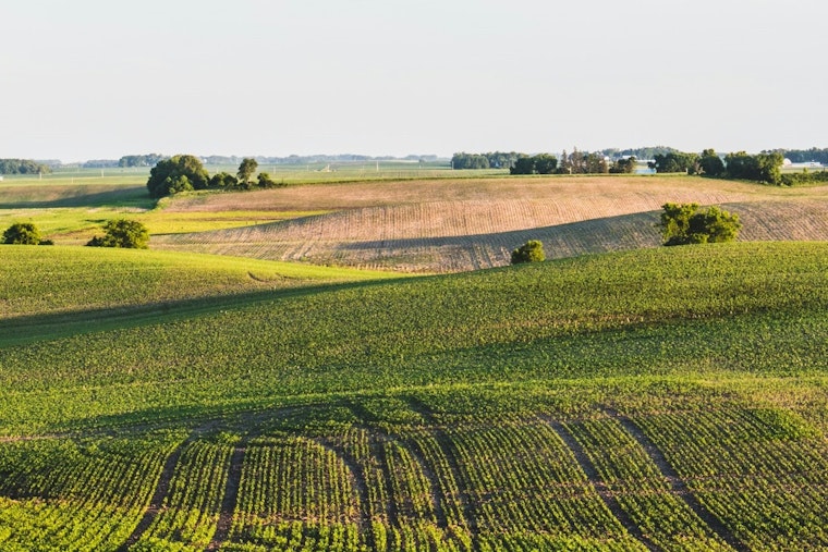 University of Minnesota Harnesses AI and Satellite Tech to Aid Farmers in Battle Against Soybean Aphids