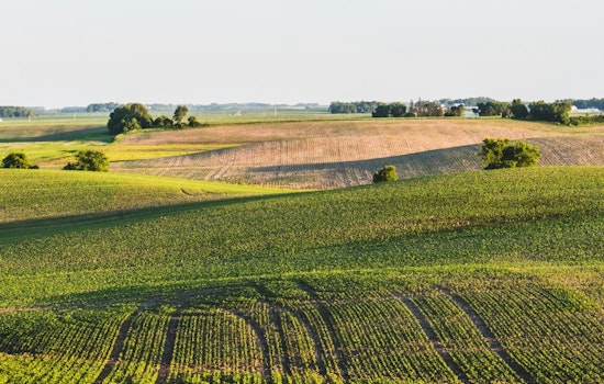 University of Minnesota Harnesses AI and Satellite Tech to Aid Farmers in Battle Against Soybean Aphids