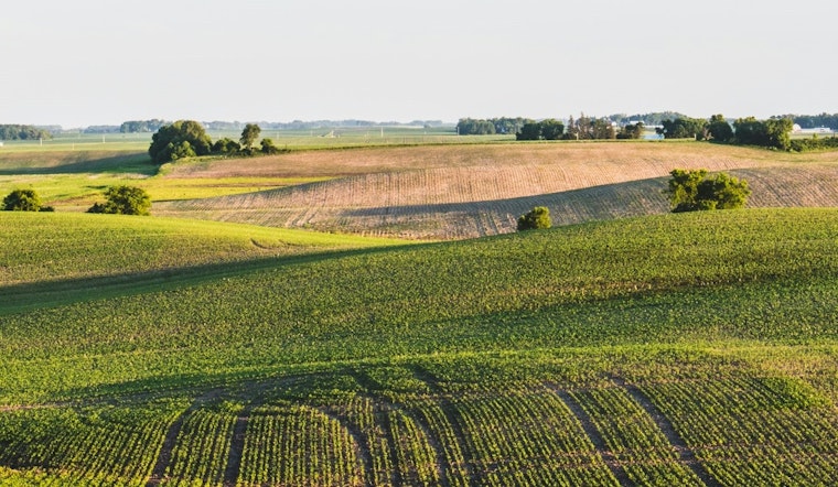 University of Minnesota Harnesses AI and Satellite Tech to Aid Farmers in Battle Against Soybean Aphids