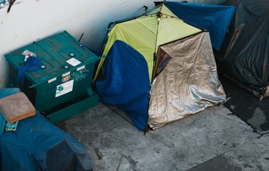 Volunteers Rally for Homeless Counts in the Valley and Utah, Aiming to Refine Aid Strategies