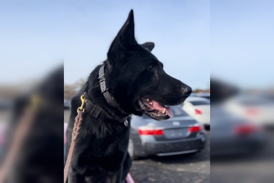 Wanted Massachusetts Attempted Murder Suspect Arrested Following Cross-State Chase, Apprehended in Connecticut