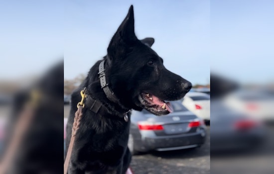 Wanted Massachusetts Attempted Murder Suspect Arrested Following Cross-State Chase, Apprehended in Connecticut