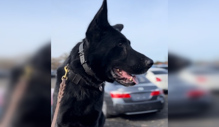 Wanted Massachusetts Attempted Murder Suspect Arrested Following Cross-State Chase, Apprehended in Connecticut