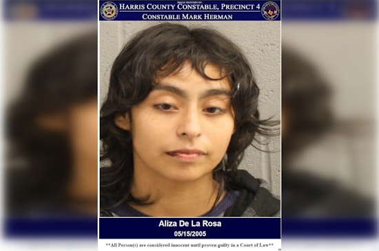 Wanted Woman Arrested by Harris County Deputies for Evading Arrest After Disturbance Call