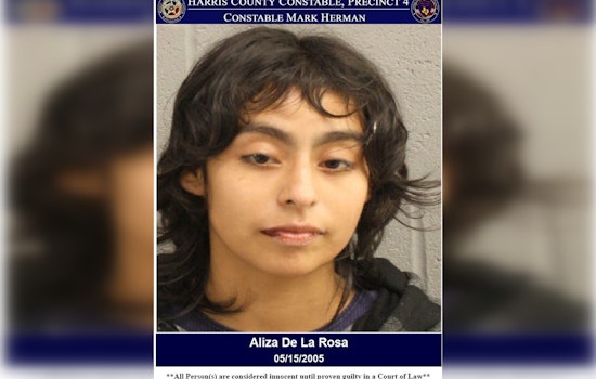 Wanted Woman Arrested by Harris County Deputies for Evading Arrest After Disturbance Call
