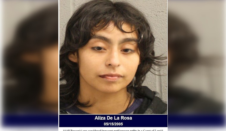 Wanted Woman Arrested by Harris County Deputies for Evading Arrest After Disturbance Call