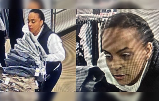 West Springfield Police Seek Woman Suspected of $2,000 Kohl's Theft, Public's Aid Requested
