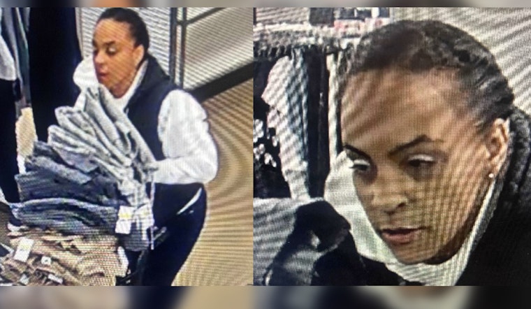 West Springfield Police Seek Woman Suspected of $2,000 Kohl's Theft, Public's Aid Requested