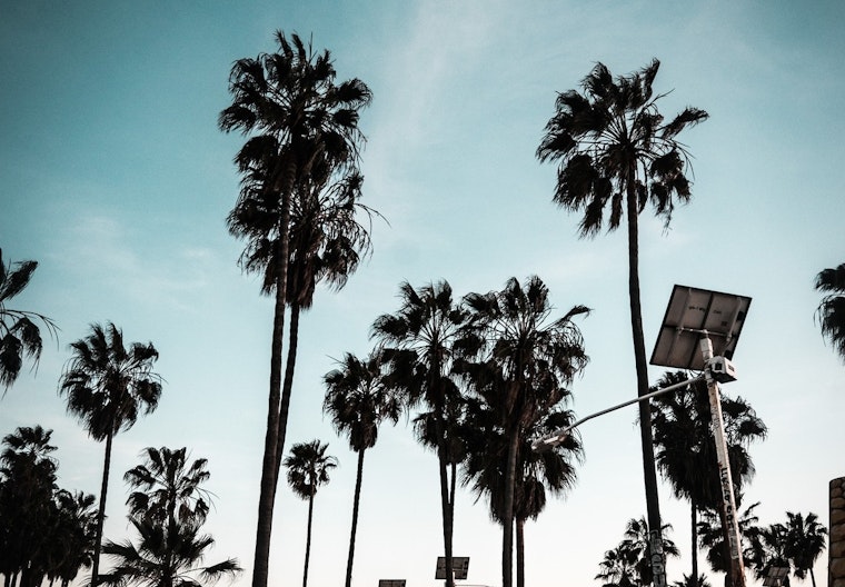 Wind Advisory in Effect for Los Angeles Area With Gusts Up to 50 MPH Expected