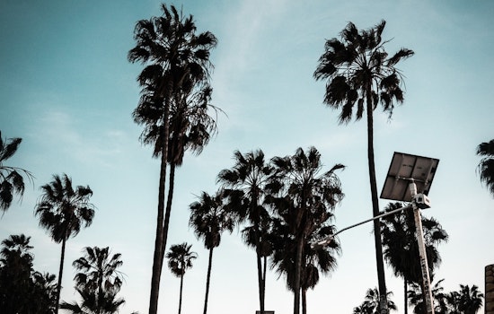 Wind Advisory in Effect for Los Angeles Area With Gusts Up to 50 MPH Expected
